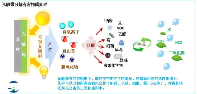 光觸媒抗菌的反應(yīng)機理.png