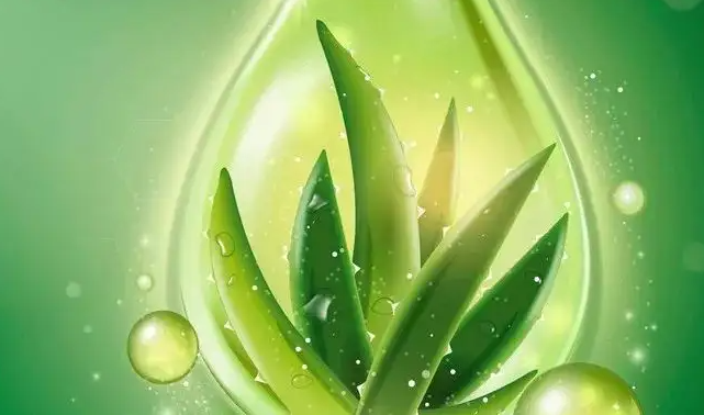 天然有機抗菌劑.png
